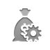money,bag,dollar,gear icon