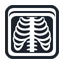 ray icon