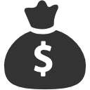 money,bag icon