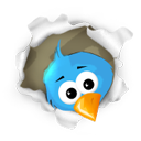 twitter,social network,social,sn icon
