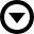 circledbordertriangledown icon