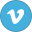 vimeo,variation icon