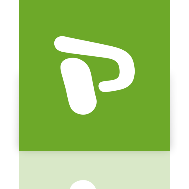 project,mirror icon