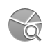 stats,pie,chart,zoom icon
