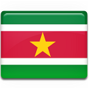 suriname,flag,country icon