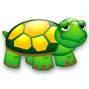 turtle,animal icon