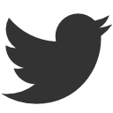 twitter icon