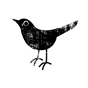 bird, twitter icon