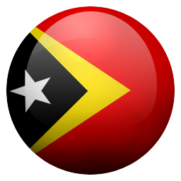 tl icon