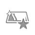 silver,star icon