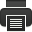 print icon