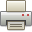 print icon