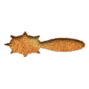 khy,cow,belly,inserted icon