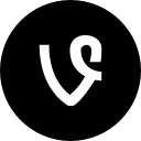 media, social, vine, website svg vector icon