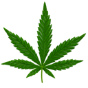 grass icon