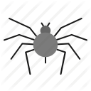 bug, insect, pest, spider icon