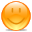 sm icon