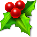 xmas,berry icon