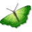 animal, butterfly, insect icon