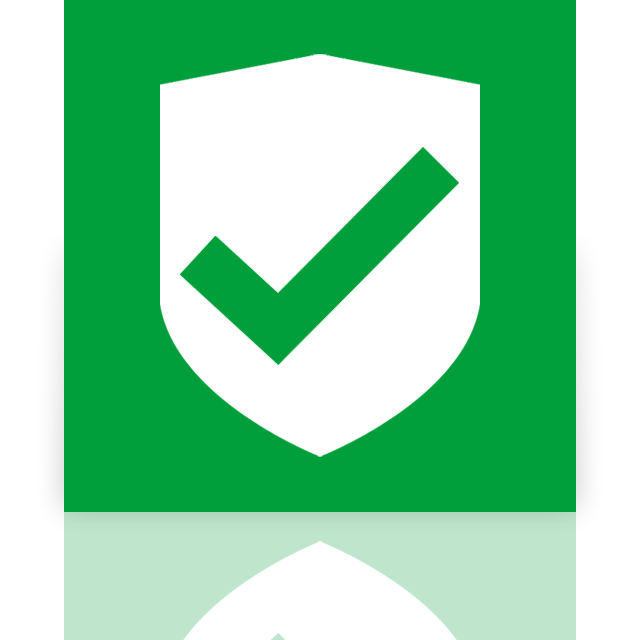 approved, mirror, security icon