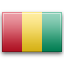 guinea icon