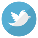 account, bird, logo, short messages, tweets, twitter, website svg vector icon