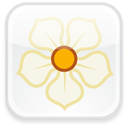 magnolia,badge,social,social network,sn icon
