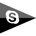 brand, company, flag, logo, media, skype, social svg vector icon