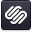 squarespace icon