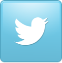 bird, new, square, twitter icon