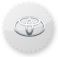 toyota icon