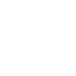 appbar,camera,flash,auto,selected icon
