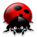 ladybug,bug,insect,animal icon