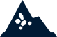 macadam icon