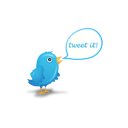 9, bird, twitter icon