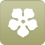 magnolia icon