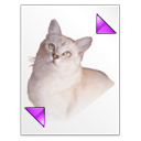 pk icon