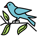 bird, fly, pet, sparrow svg vector icon