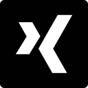 xing svg vector icon