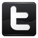 twitter,social network,social,sn icon