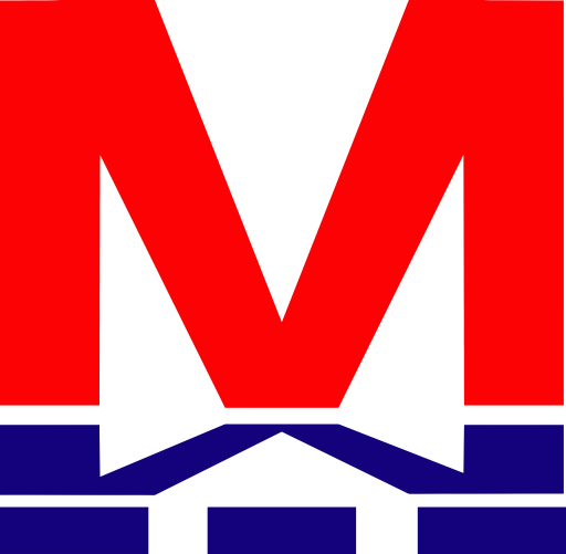 Wuhan Metro svg vector icon