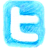 twitter icon