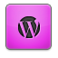 pink icon