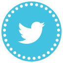communication, connection, media, network, social, social media, twitter svg vector icon