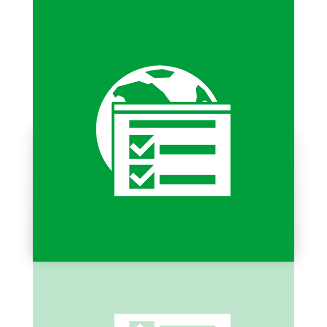 internet,option,mirror icon