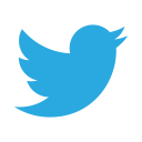 company, identity, logo, new, twitter svg vector icon