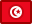 flag, tunisia icon