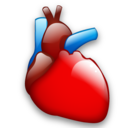 cardiology icon