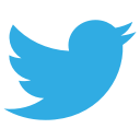 bird, birdie, network, social, socialnetwork, squarico, tweet, twitter svg vector icon