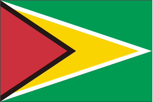 Guyana svg vector icon